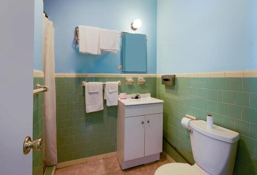 스탠다드 룸, Oyo Salem Roanoke I 81