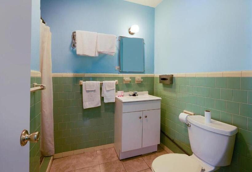 غرفة قياسية, Oyo Salem Roanoke I 81