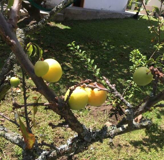 패밀리 룸 가든 전망, Tababela Airport B&b