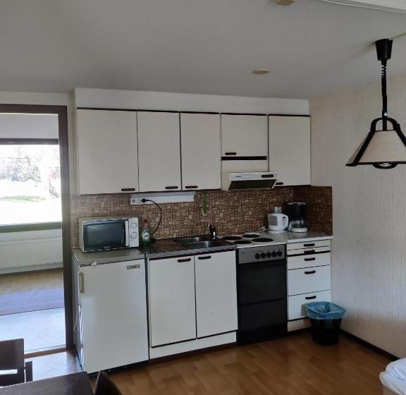 带1个卧室的公寓, Budget Hotel Raahe