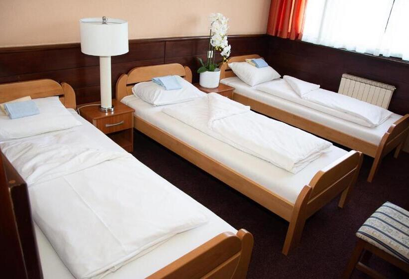 اتاق استاندارد سه نفره, Tisa