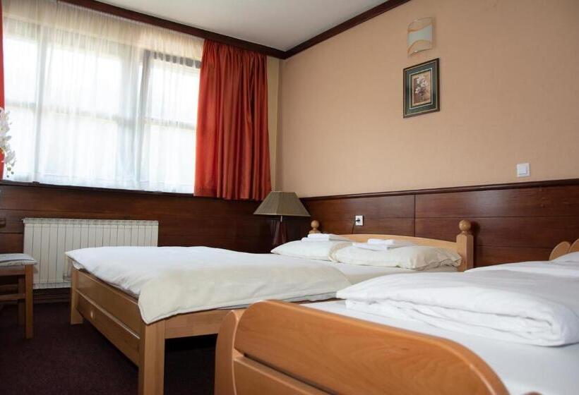 اتاق استاندارد, Tisa