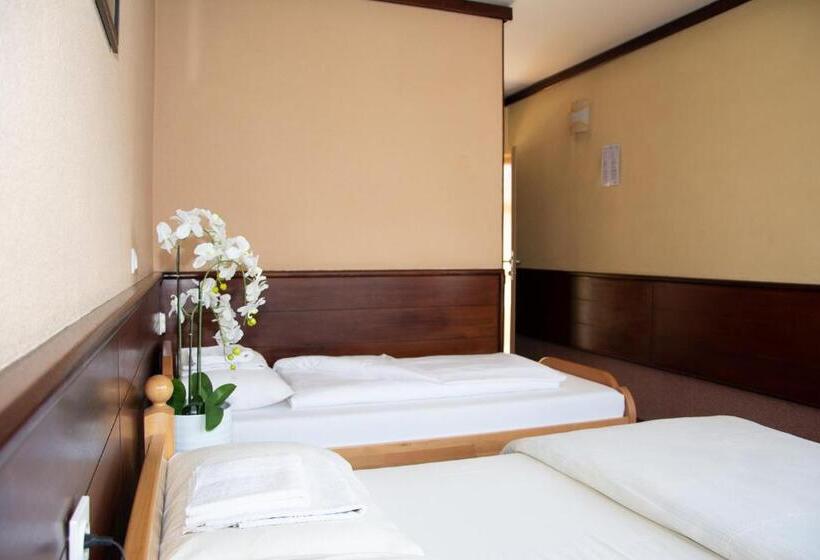 اتاق استاندارد, Tisa