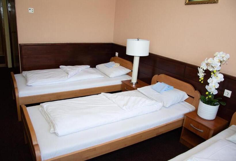 اتاق استاندارد, Tisa