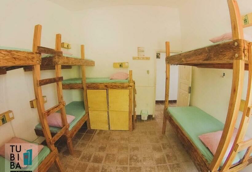 تختخواب در اتاق مشترک, Tubiba Hostel