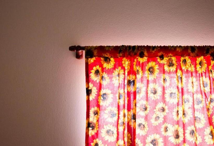 اتاق استاندارد, Tubiba Hostel