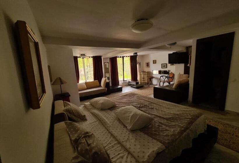 Номер Superior, Casa Poveste Pensiunea Muzeu