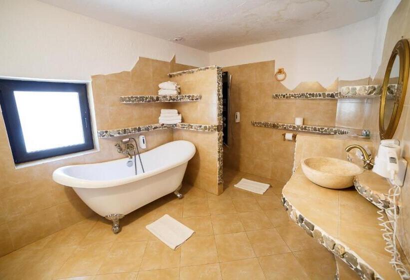 Номер Superior, Casa Poveste Pensiunea Muzeu