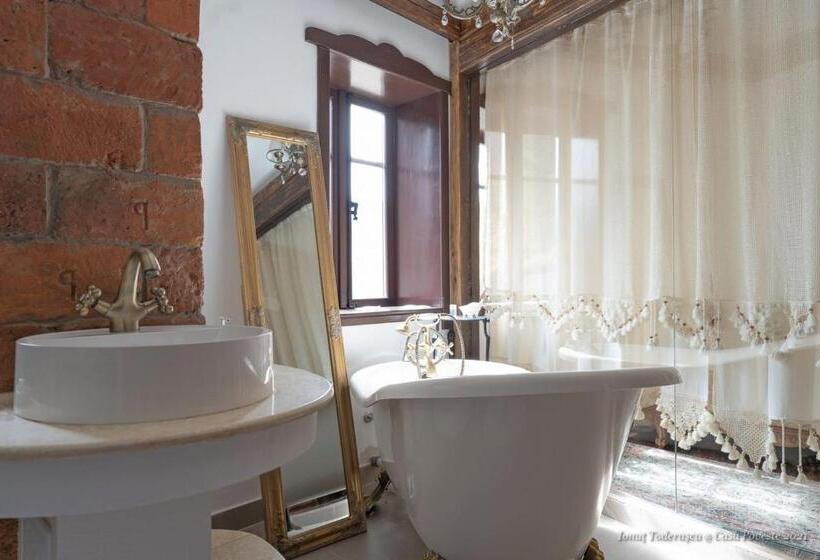 Студия Deluxe, Casa Poveste Pensiunea Muzeu