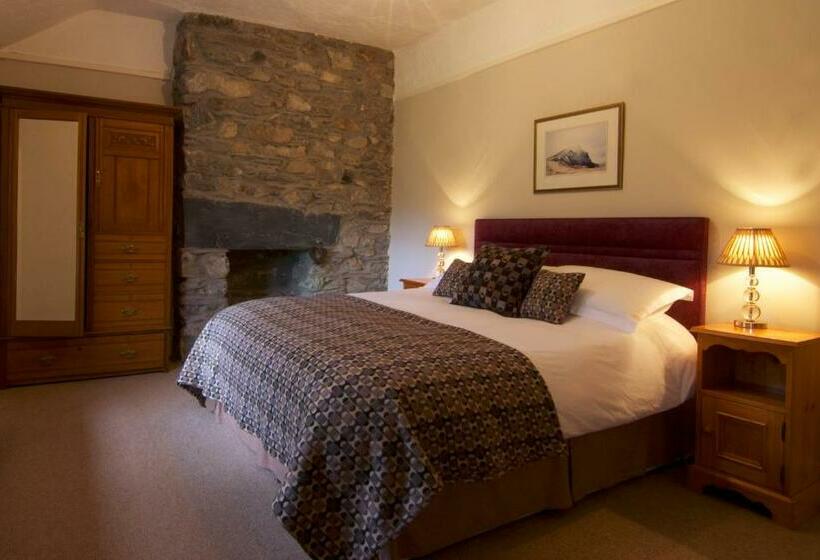 غرفة قياسية سرير كينج, Dolffanog Fawr