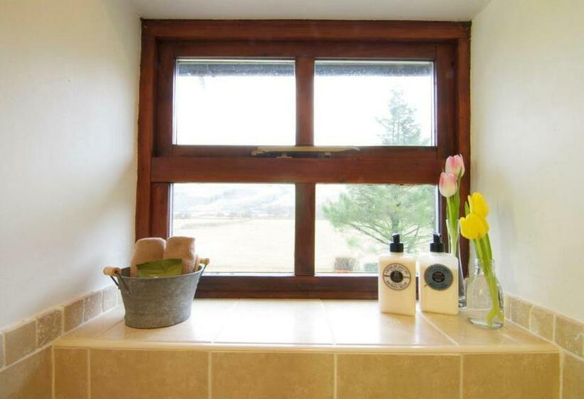 غرفة قياسية سرير كينج, Dolffanog Fawr