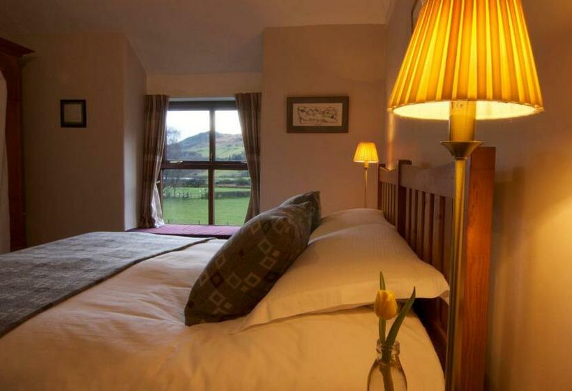 غرفة ديلوكس مطلة على البحيرة, Dolffanog Fawr