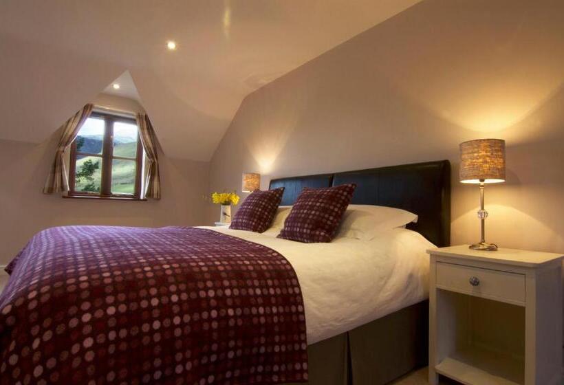 غرفة سوبيريور إطلالة على البحيرة, Dolffanog Fawr