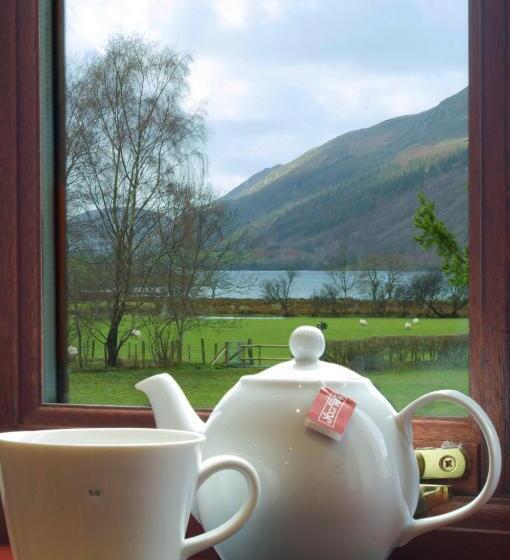 Superior room with lake view, Dolffanog Fawr