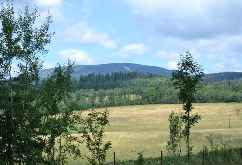 شقة غرفتين, Penzion Zoja