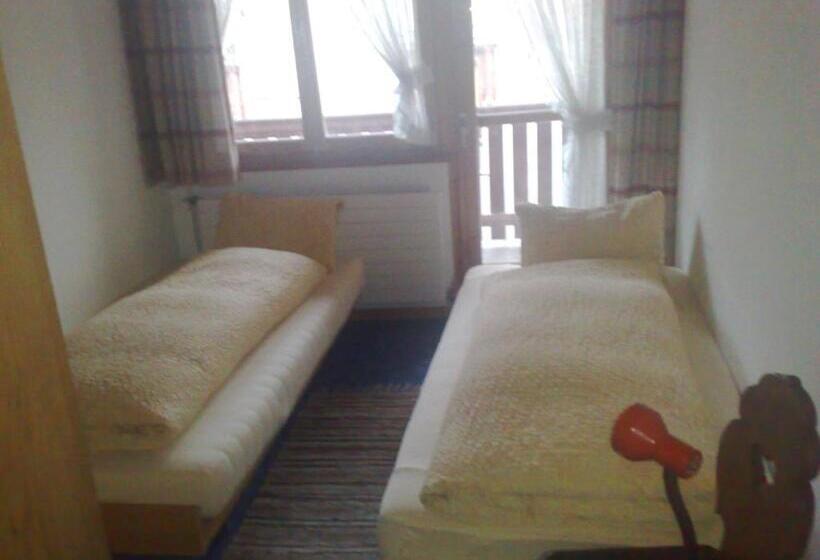 バス共有のスタンダードルーム, B&b Hotel & Appartements Chasa Valär