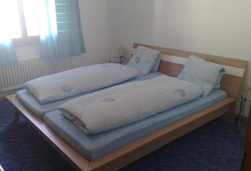 バス共有のスタンダードルーム, B&b Hotel & Appartements Chasa Valär