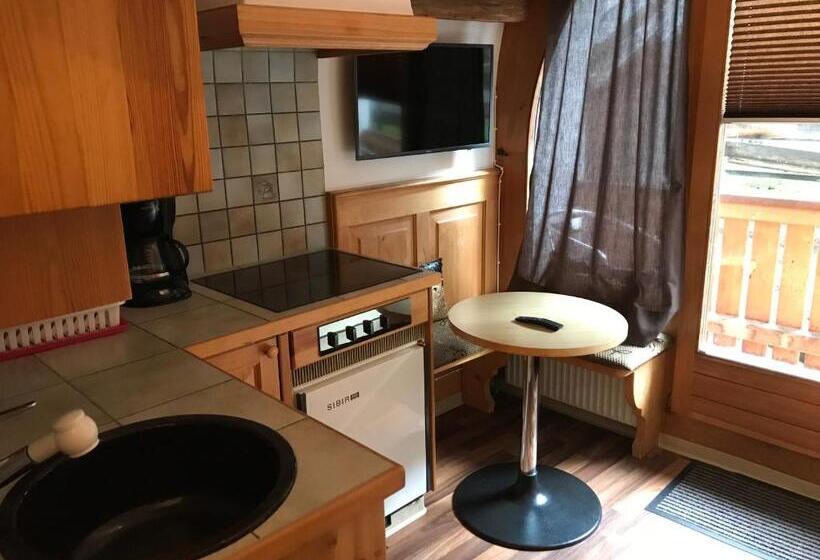 Студио Стандарт с Балконом, B&b Hotel & Appartements Chasa Valär
