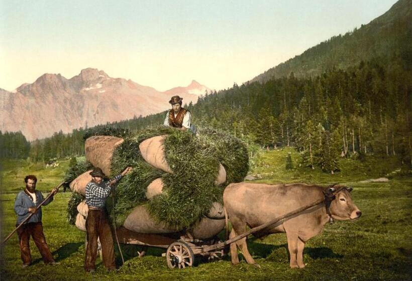 ２ベッドルームアパートメント, B&b Hotel & Appartements Chasa Valär