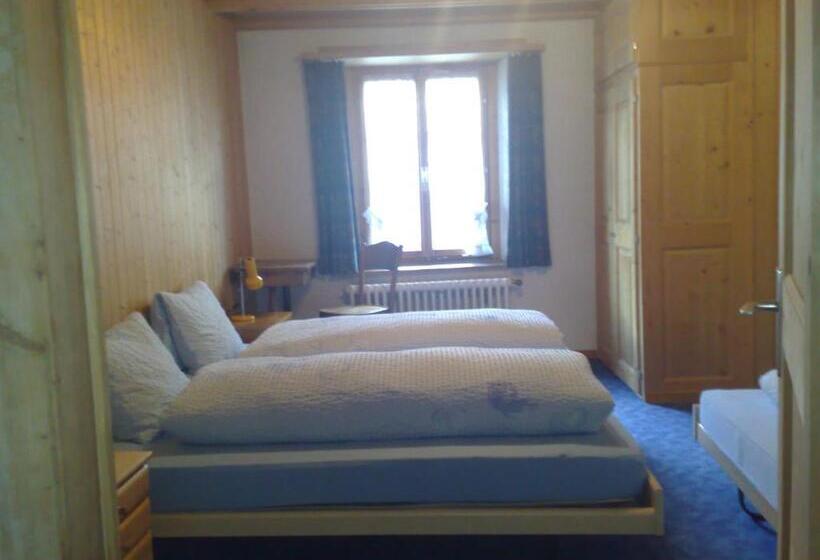 浴室共有のエコノミールーム, B&b Hotel & Appartements Chasa Valär