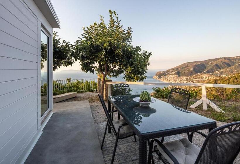 סוויטת ג'וניור עם טרסה, Just Be