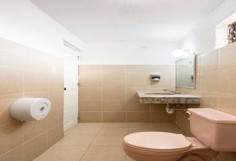 اتاق سوپریور, Las Garzas