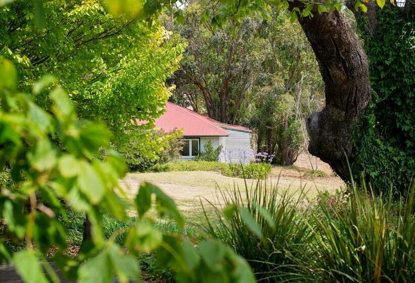 スイート, Karribank