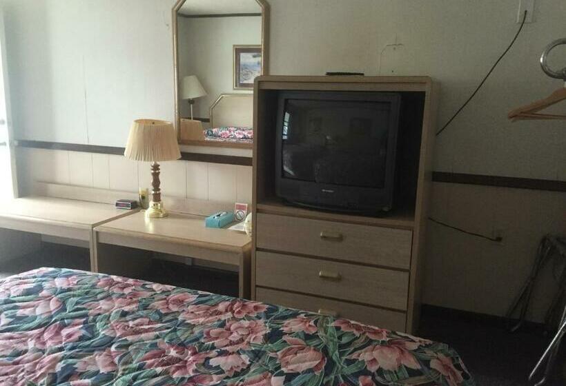 스탠다드 룸, Twin Pine Motel