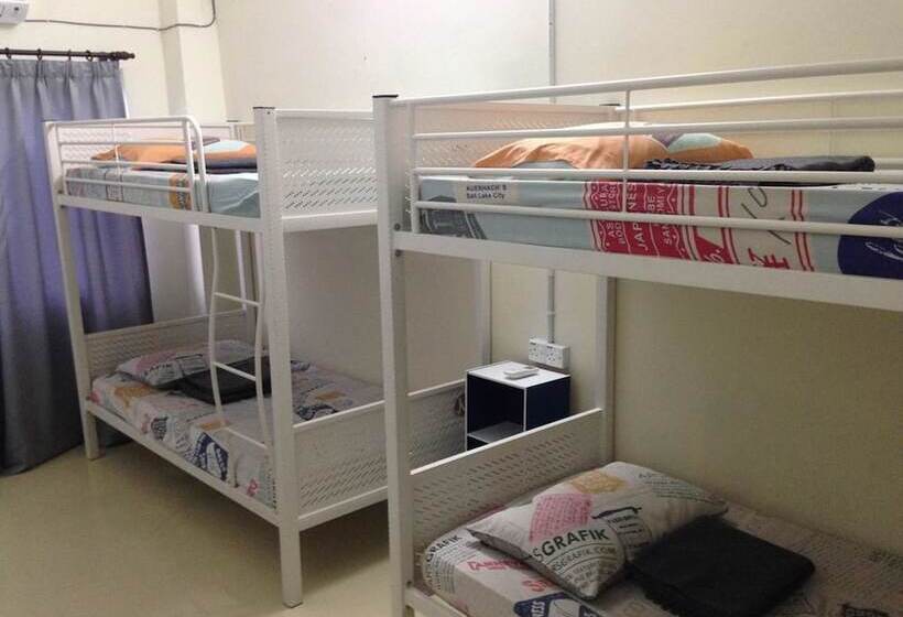 Кровать в Общей Комнате, Vloft Backpackers Hostel
