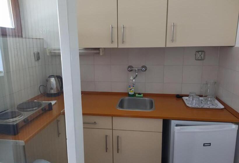 Студия Стандарт, Viking