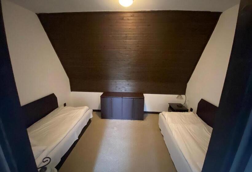 Апартаменты Дюплекс 1 Спальня, Viking