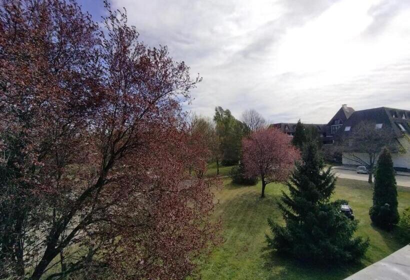 Семейные Апартаменты, Viking