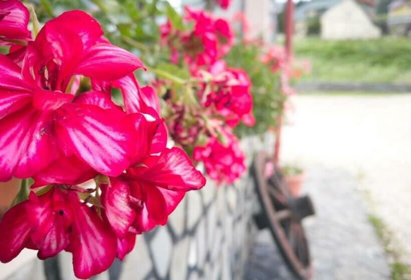 스탠다드 룸, Casa Ardeleana