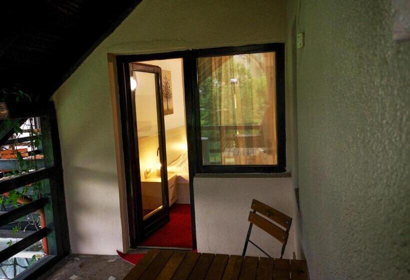 غرفة قياسية, Casa Ardeleana