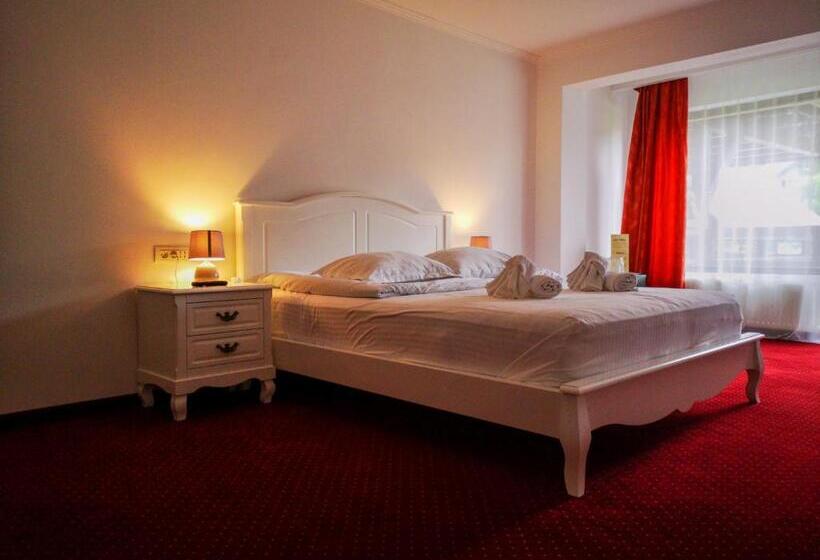 수피리어 룸, Casa Ardeleana