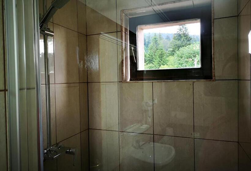 수피리어 룸, Casa Ardeleana