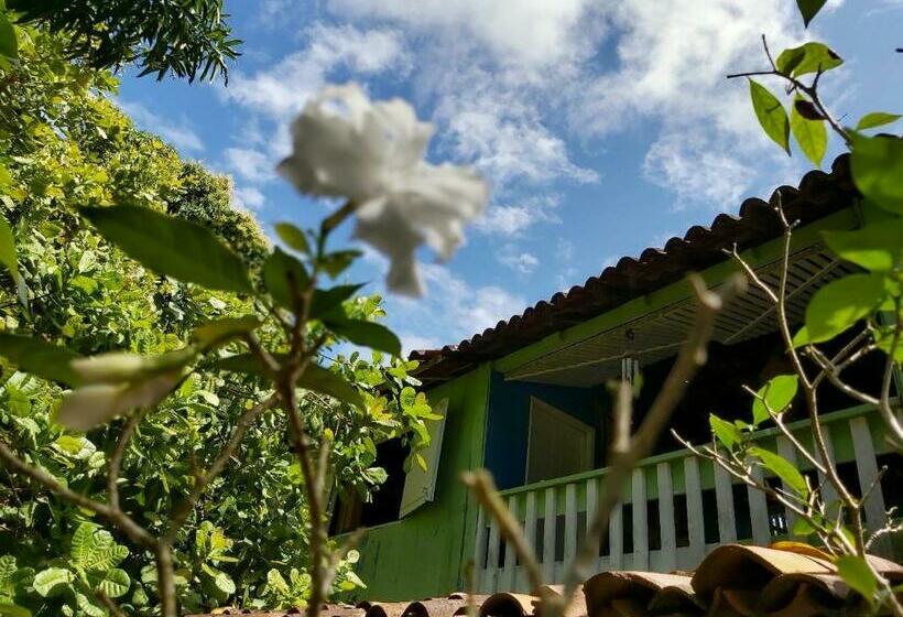 סוויטה עם מרפסת, Guest House Boki Da Zezé