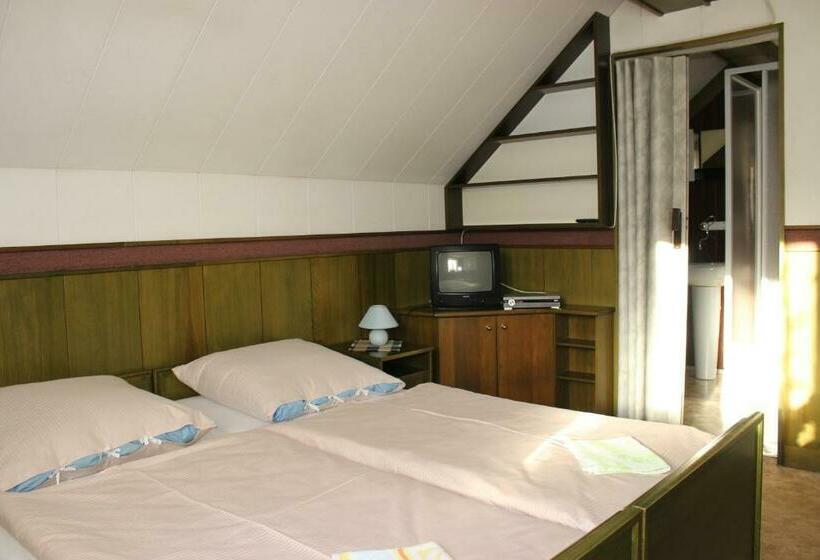 غرفة قياسية ثلاثية, Penzion U Zemánků