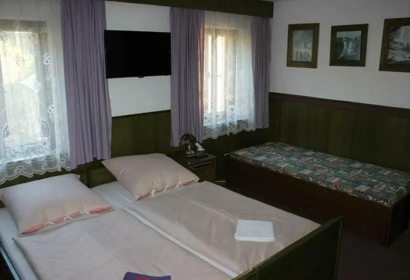 スタンダード４人部屋, Penzion U Zemánků