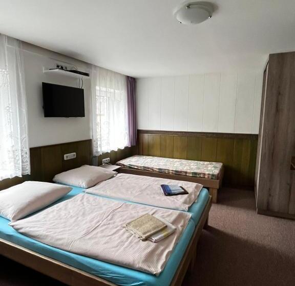 غرفة قياسية رباعية, Penzion U Zemánků