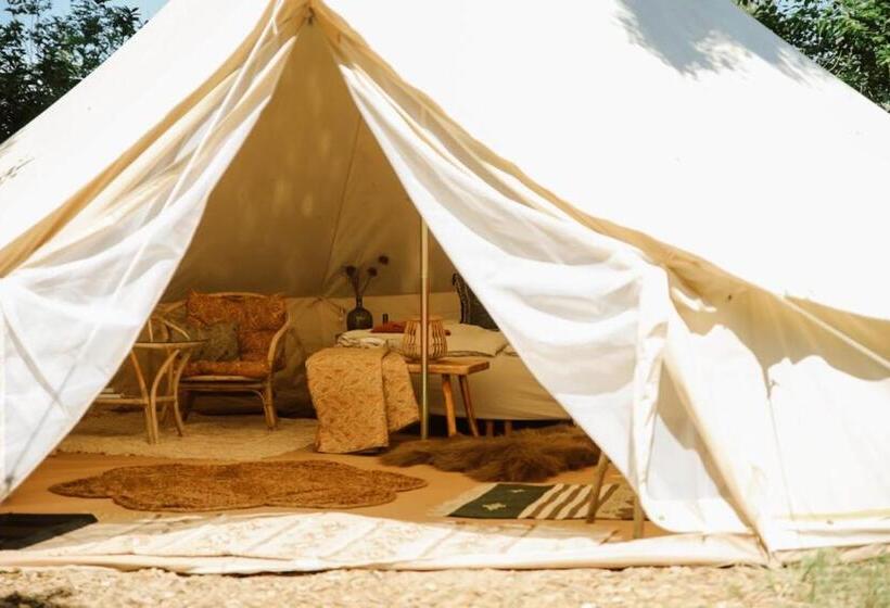 Standard Tent, Huset I Hejls