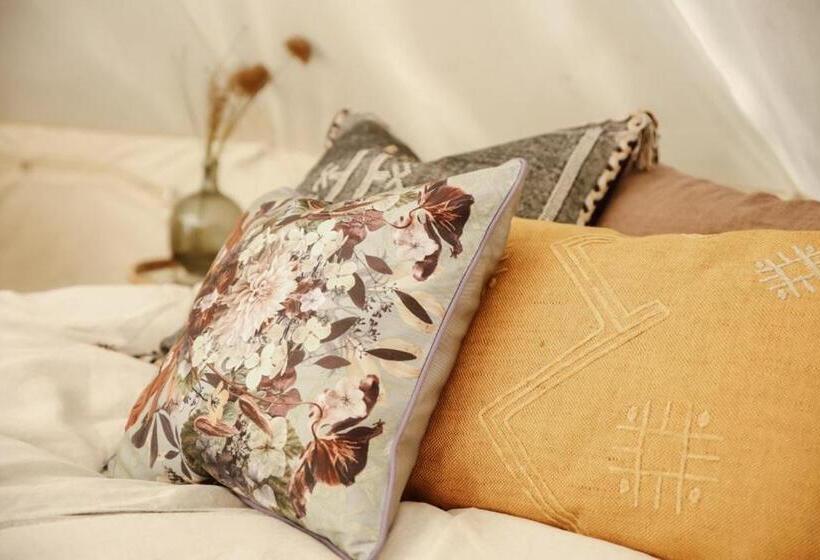 Standard Tent, Huset I Hejls