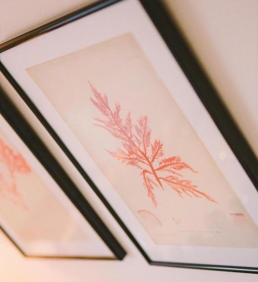 סוויטת דלוקס נוף לים, The Hero