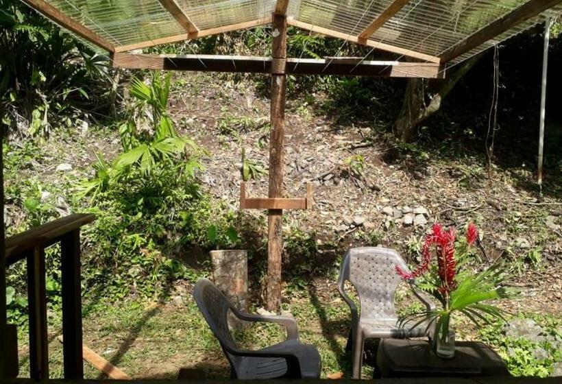 Családi Szoba, Treegana