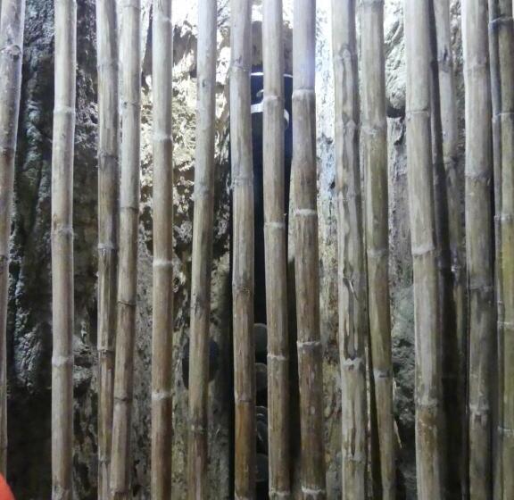 Belső Udvarra Néző Standard Szoba, Treegana