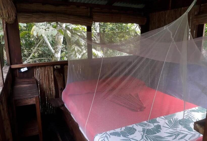 Belső Udvarra Néző Standard Szoba, Treegana