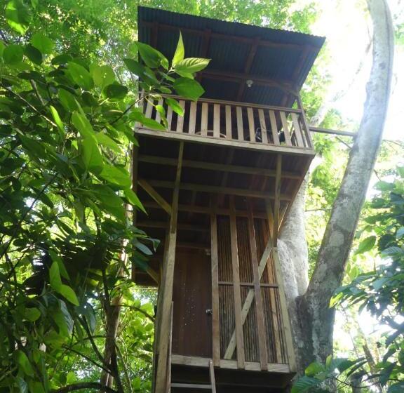 Belső Udvarra Néző Standard Szoba, Treegana