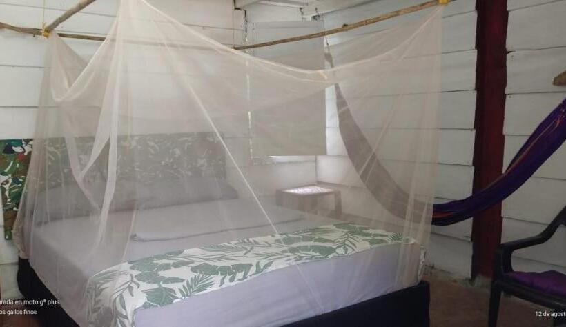 Standard Szoba, Treegana