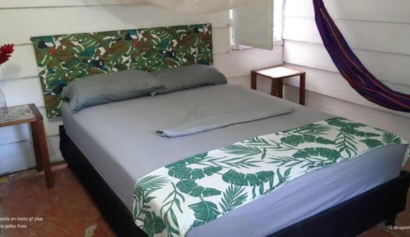 Standard Szoba, Treegana