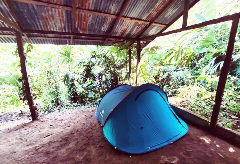 Standard Tent, Treegana